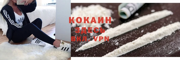 ECSTASY Каменногорск