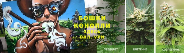 ECSTASY Каменногорск