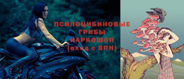 синтетический гашиш Каменск-Шахтинский