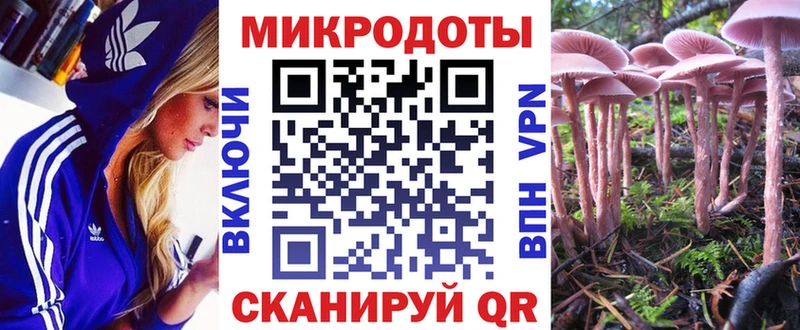 Купить  Абакан  Псилоцибиновые грибы мицелий 